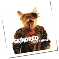 Skindred - Big Tings