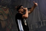 Rot-Gelb-Grün auf der kleinen Insel im Fühlinger See: Raps und Riddims!, Summerjam 2016 | © laut.de (Fotograf: Lothar Schmitt)