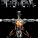 Tool - Salival