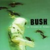 Bush - The Science Of Things