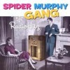 Spider Murphy Gang - Radio Hitz